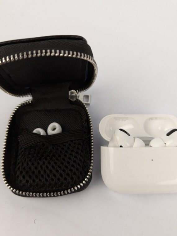 Cartoon Airpods Pro Case